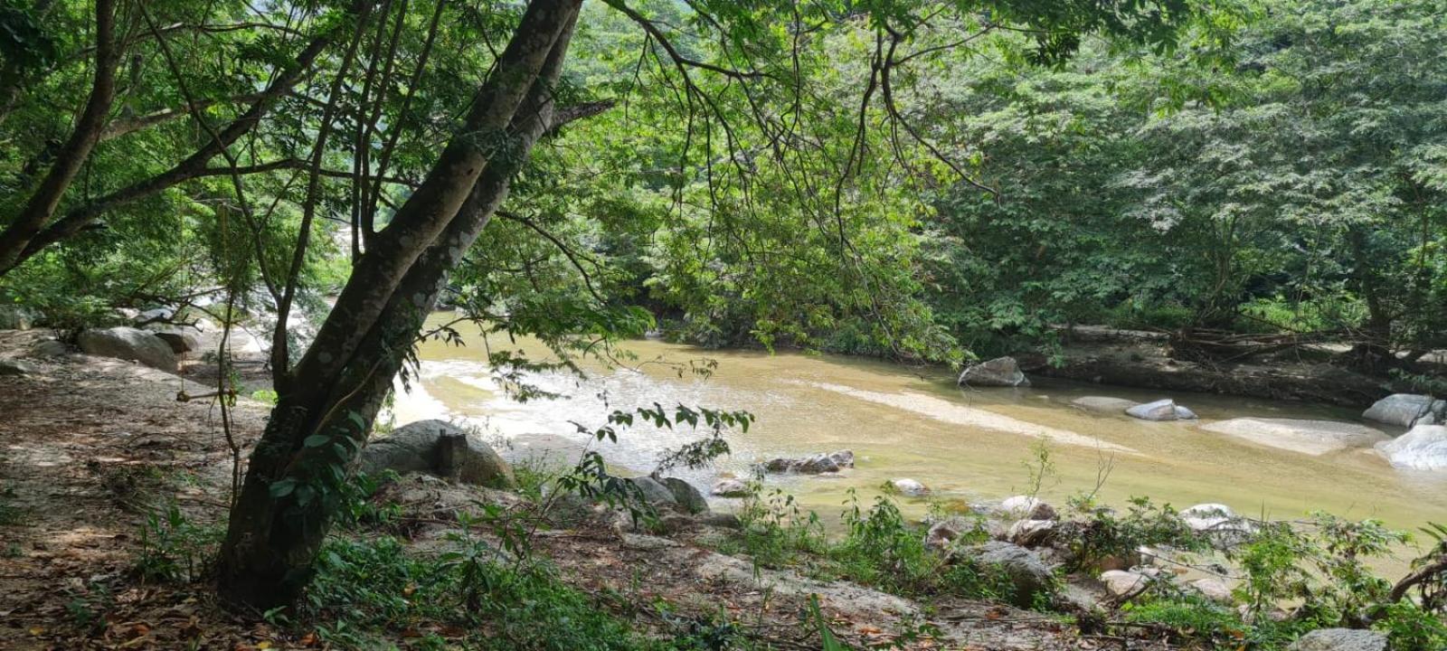 Eco Hostal Monolandia Zaino Kültér fotó