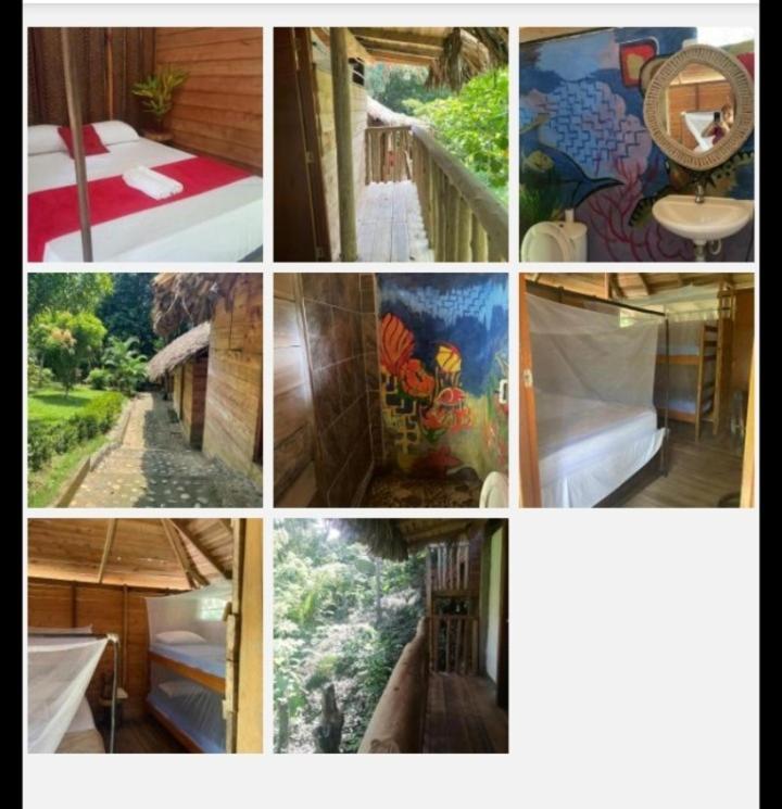 Eco Hostal Monolandia Zaino Szoba fotó